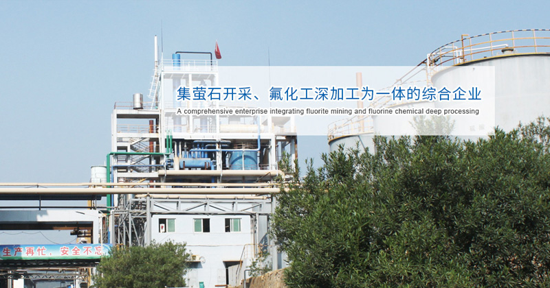 石家莊市偉峰科技有限公司